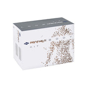 IBSA Profhilo Body Kit